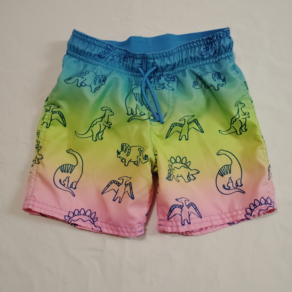 Cat & Jack Blue/Green/Pink Dinosaur Swim Trunks